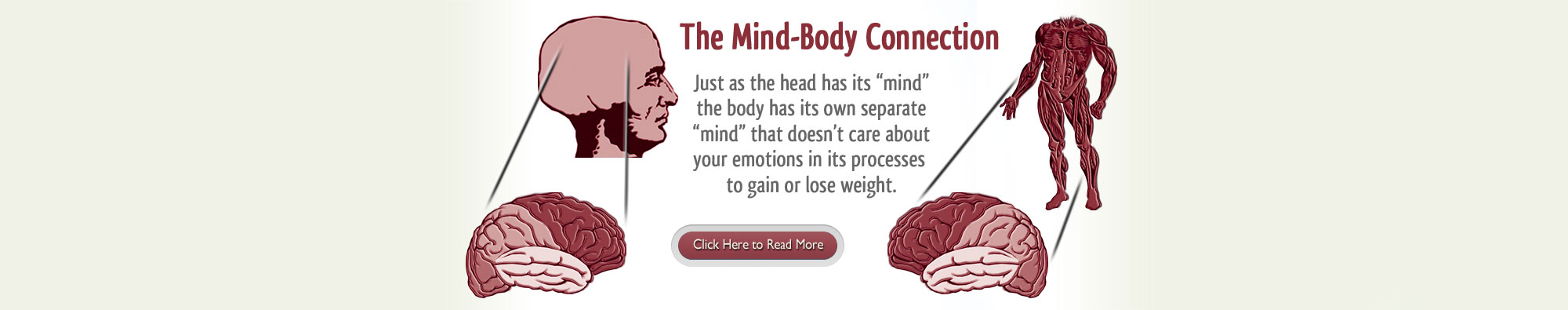 Mind Body Connection